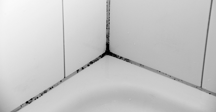 bath_before