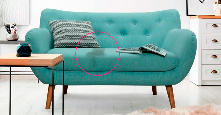 noroot (1)